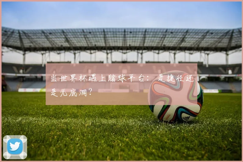 当世界杯遇上赌球平台：是捷径还是无底洞？