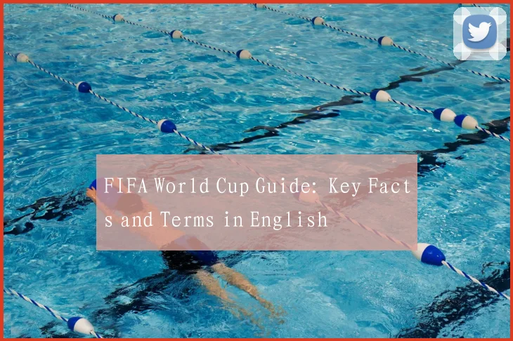 FIFA World Cup Guide: Key Facts and Terms in English
