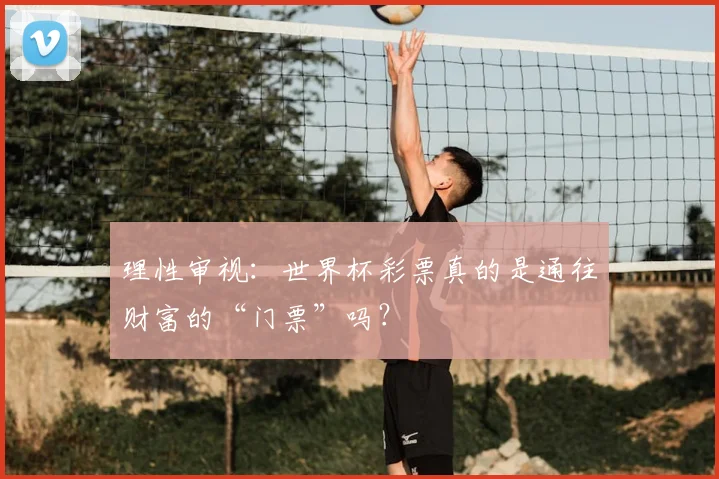 理性审视：世界杯彩票真的是通往财富的“门票”吗？