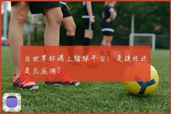当世界杯遇上赌球平台：是捷径还是无底洞？